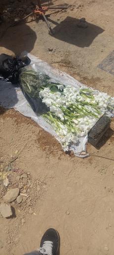 عکس مزار سید ابوالفضل حدادی