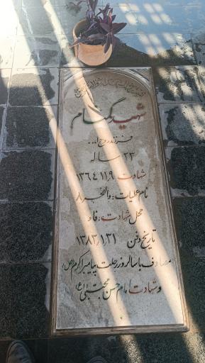 عکس یادمان شهدای گمنام گلزار مسگرآباد