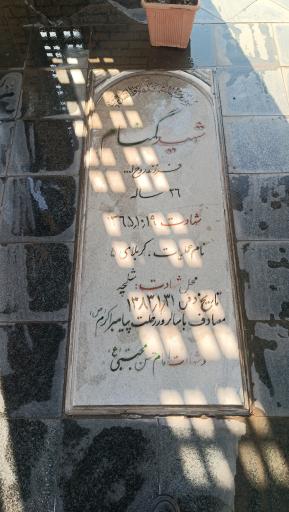 عکس یادمان شهدای گمنام گلزار مسگرآباد