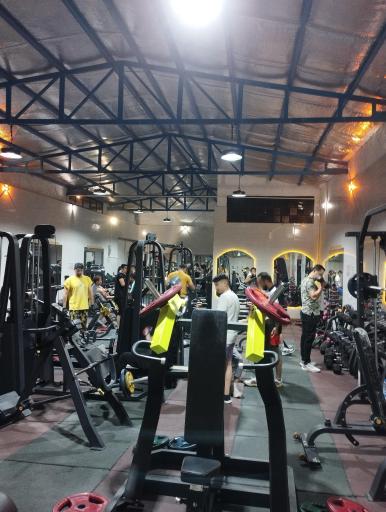 عکس باشگاه بدن سازی آرارات