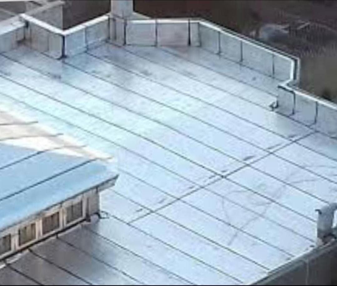 عکس ایزوگام بیک محمدی