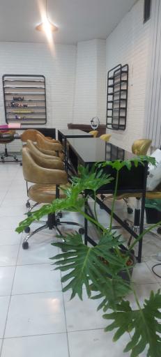 عکس سالن و آموزشگاه زیبایی دریا درویشی