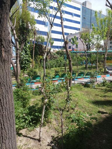 عکس بیمارستان نجمیه