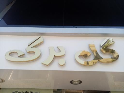 عکس کیف و کفش گلبرگ