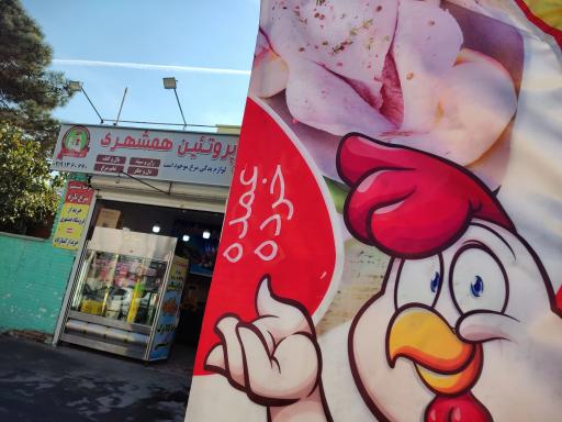 عکس پروتئین همشهری