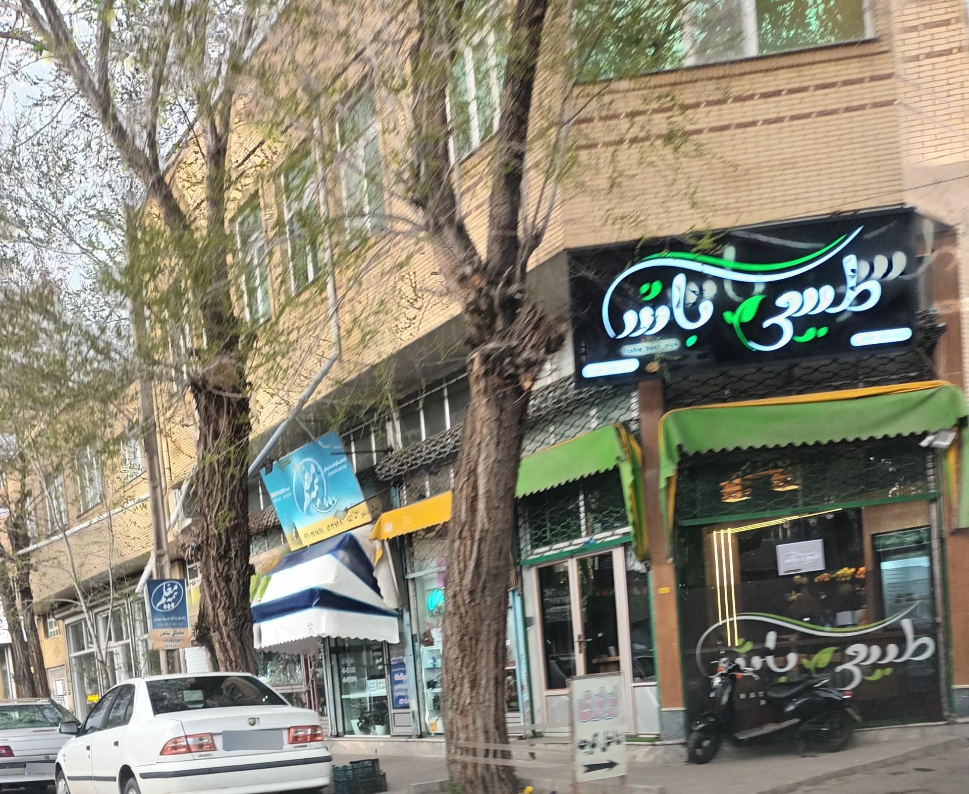 عکس طبیعی باش