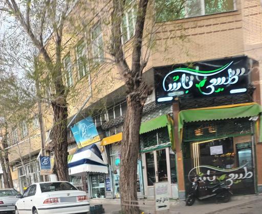 عکس طبیعی باش