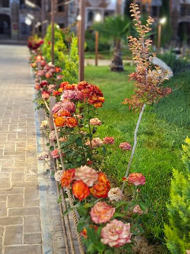 عکس باغ رستوران موسی خانی 