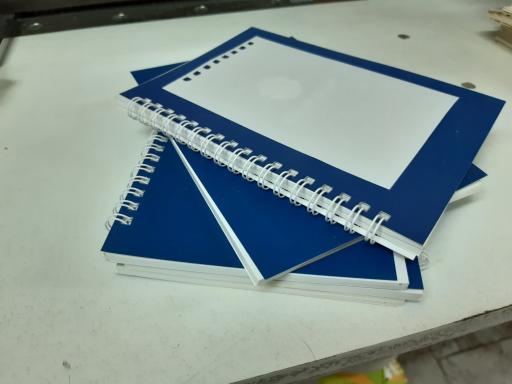 عکس صحافی و چاپ طلاکوب نوین