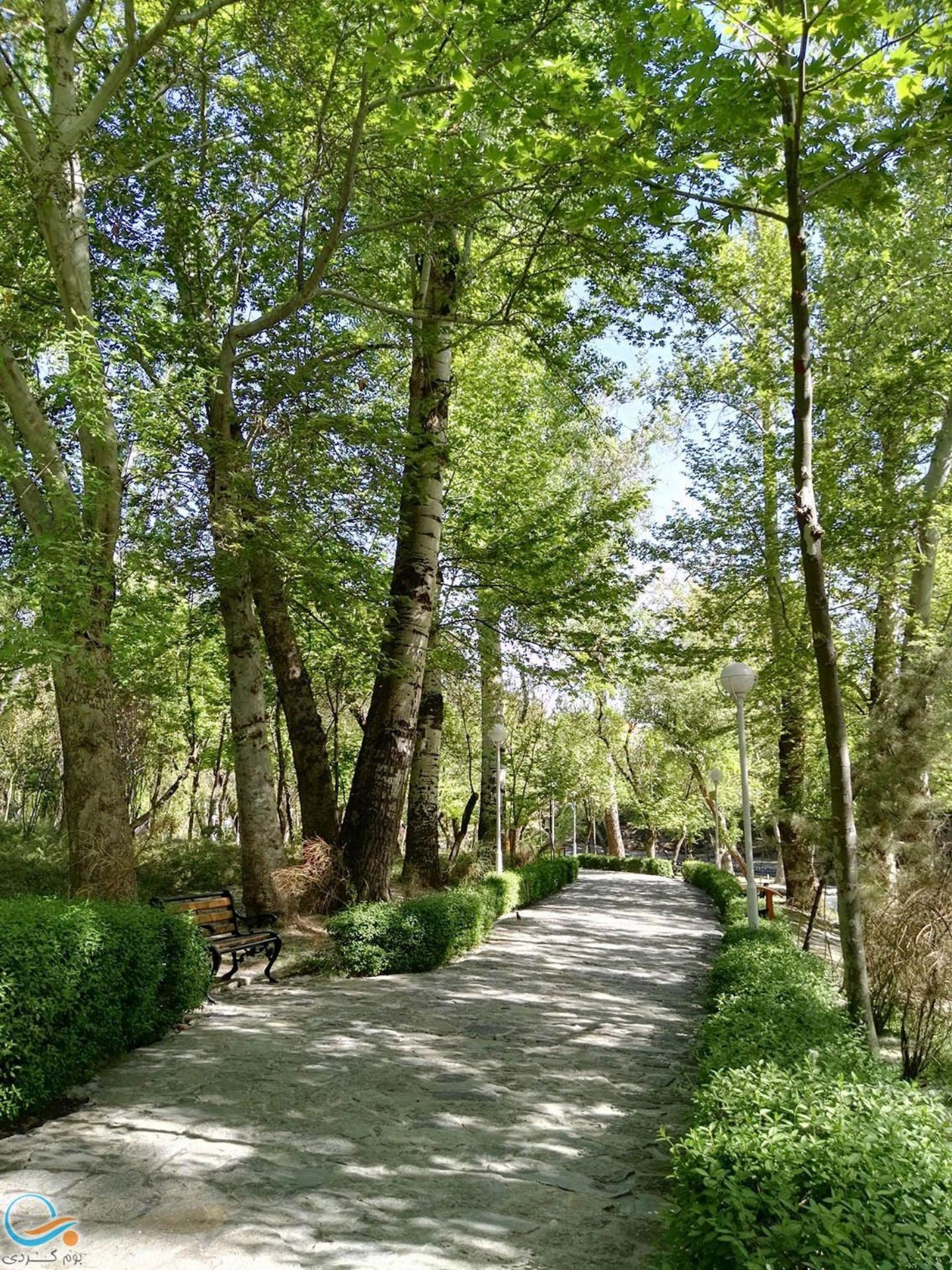 عکس پارک جنگلی شیخ تپه