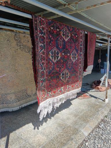 عکس قالیشویی همشهری