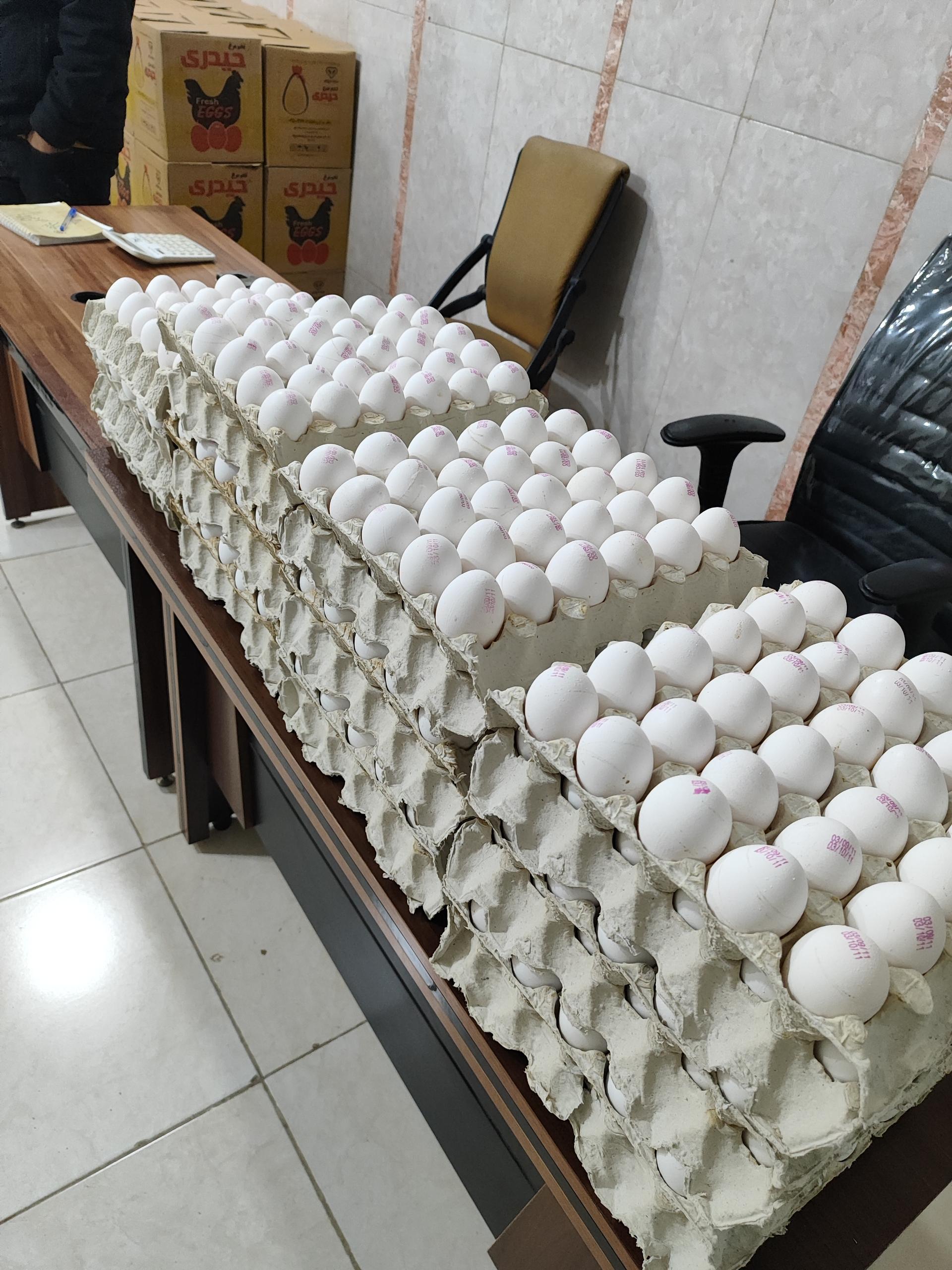 عکس پخش تخم مرغ زرده طلایی