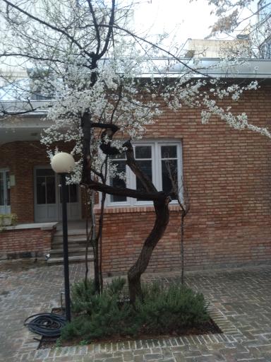 عکس خانه نیما یوشیج (تهران)