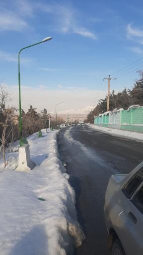 عکس پارک جنگلی شیخ تپه