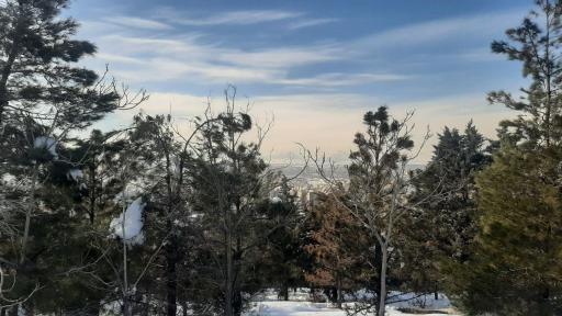 عکس پارک جنگلی شیخ تپه