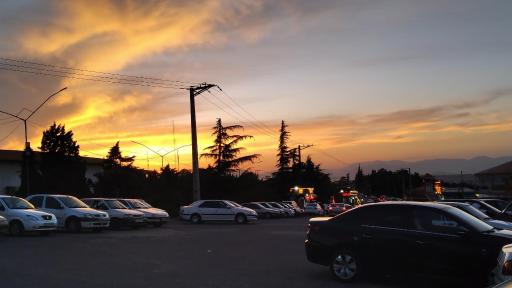 پارک جنگلی شیخ تپه