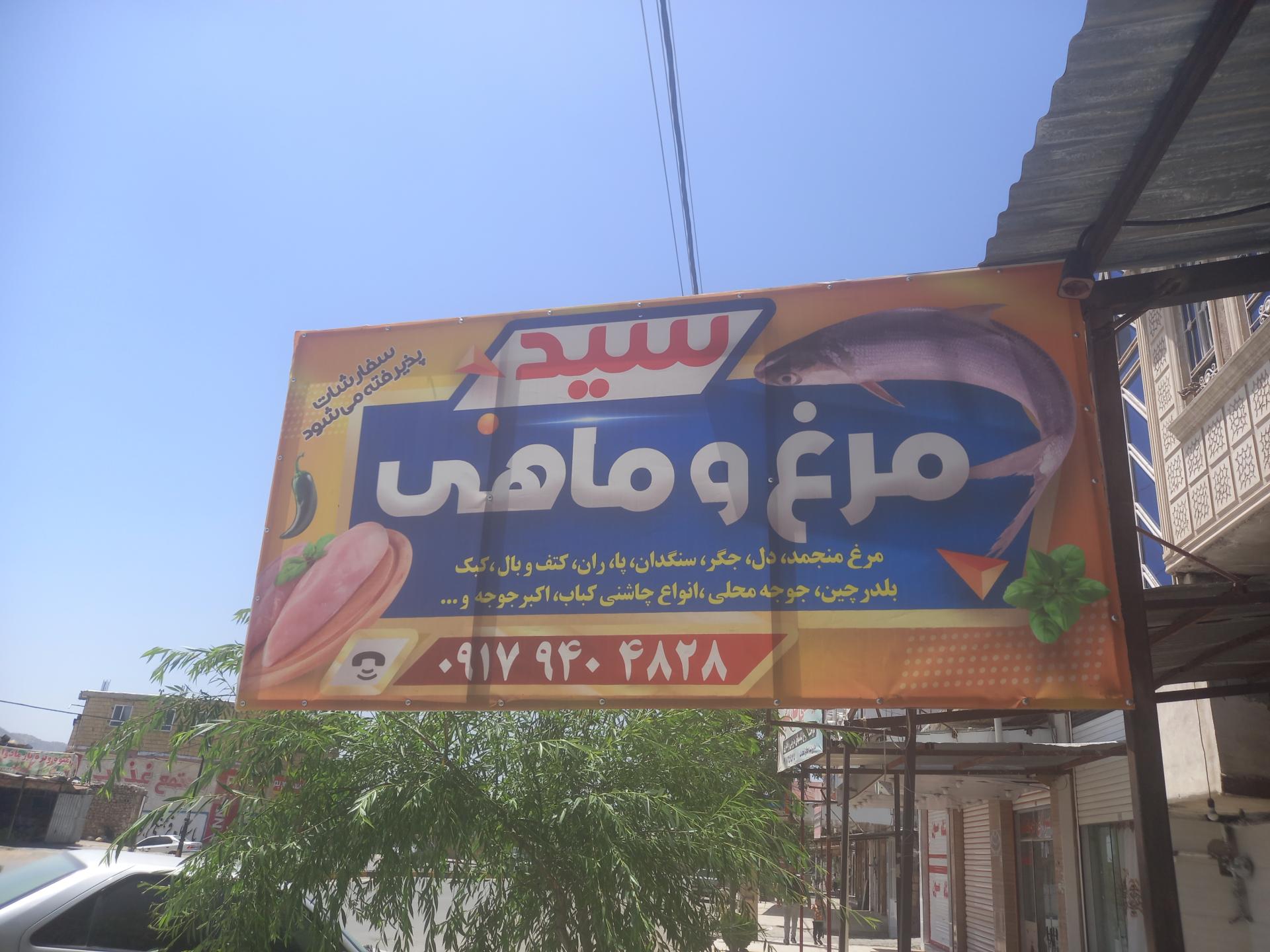 عکس مرغ وماهی سید