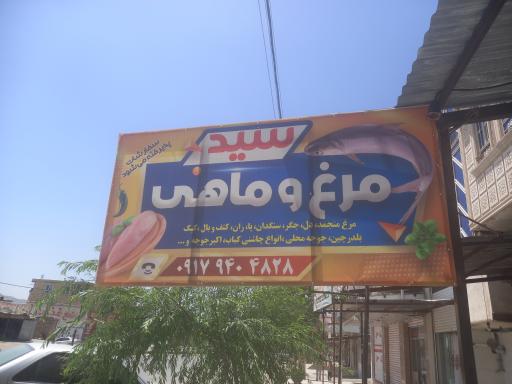 عکس مرغ وماهی سید