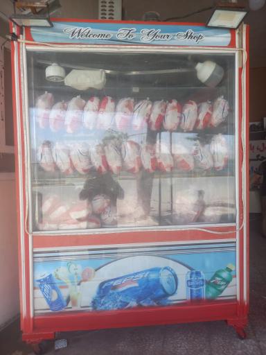 عکس مرغ وماهی سید