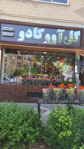 عکس گل آووکادو