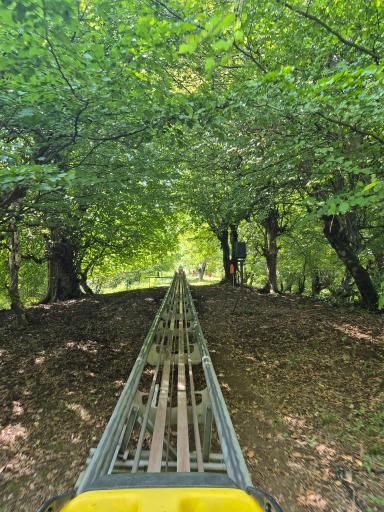 عکس سورتمه ریلی تالش