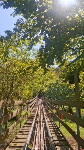 عکس سورتمه ریلی تالش