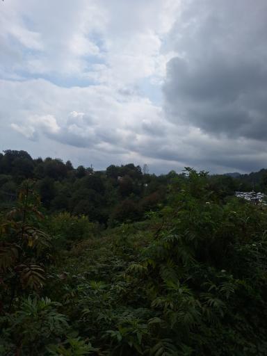 عکس سورتمه ریلی تالش