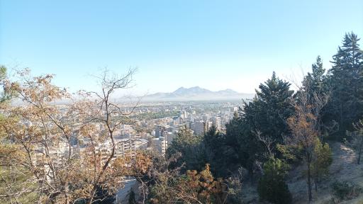 عکس پارک جنگلی شیخ تپه