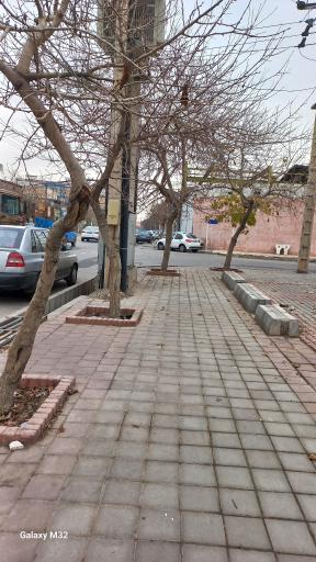 عکس  کرامت 14/1