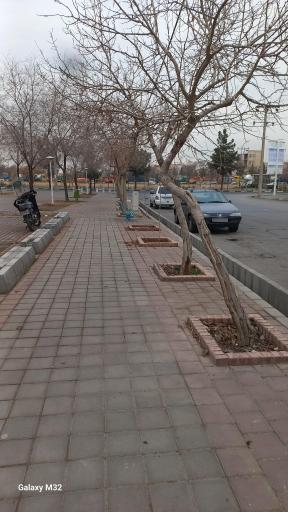 عکس  کرامت 14/1