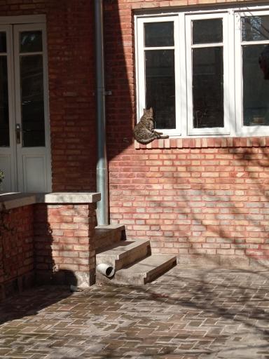 عکس خانه نیما یوشیج (تهران)