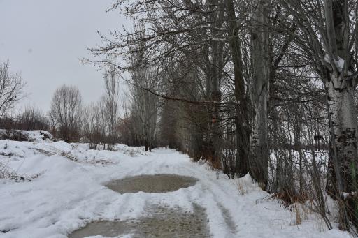 عکس پارک جنگلی شیخ تپه