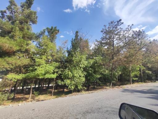 عکس پارک جنگلی شیخ تپه