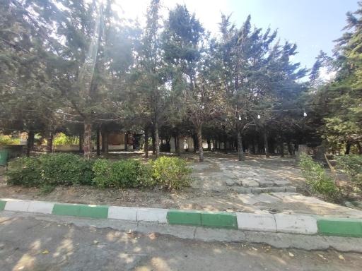 عکس پارک جنگلی شیخ تپه