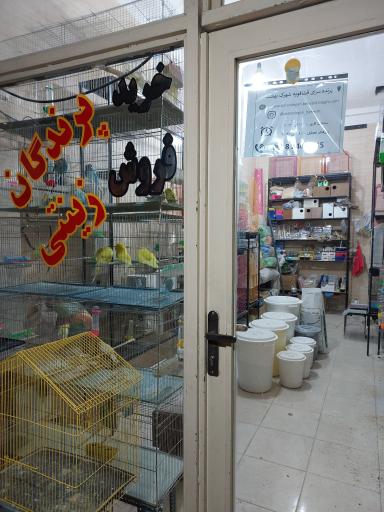 عکس پرنده فروشی پرندگان بهشت