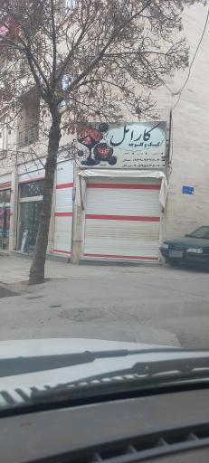 عکس کیک وکلوچه کارامل