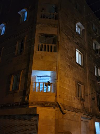 عکس عمارت آهو ۱