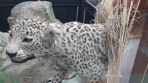 عکس موزه حیاط وحش پارک ارم