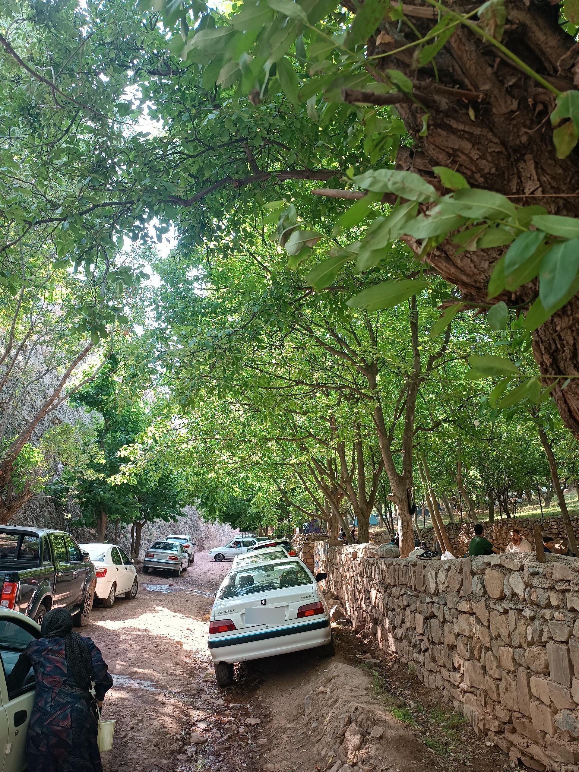 عکس دریاچه سد زاوین