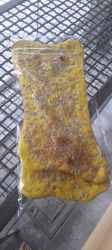 عکس نان فانتزی ایاز 