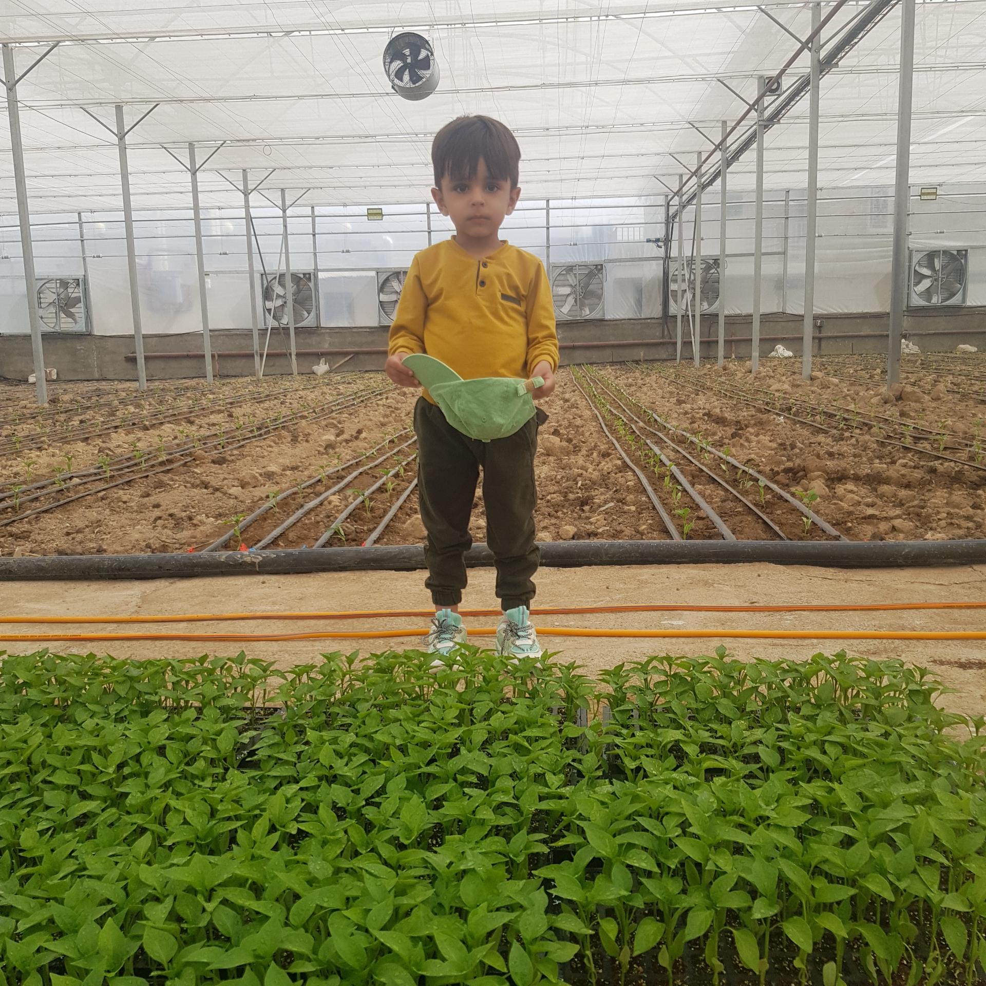 عکس گلخانه مهندس رضارضایی