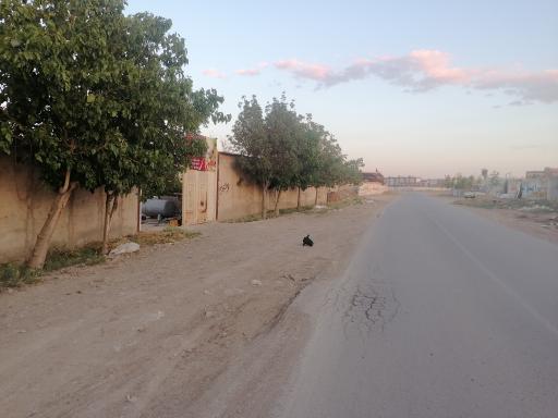 مصالح ساختمانی عباباف