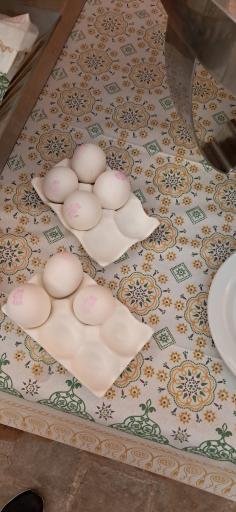 عکس هتل قلعه وزیر