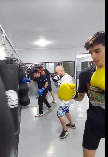 باشگاه بوکس مهدی هاشمی