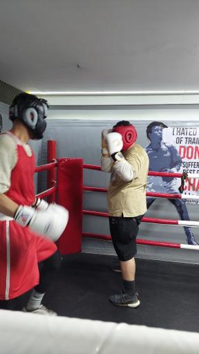 باشگاه بوکس مهدی هاشمی