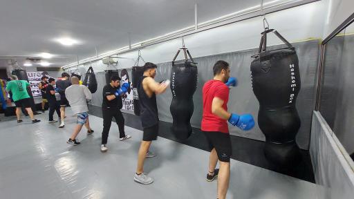 باشگاه بوکس مهدی هاشمی