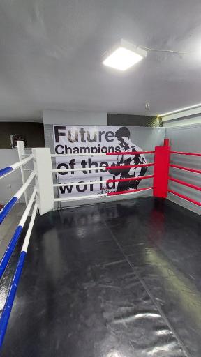 باشگاه بوکس مهدی هاشمی