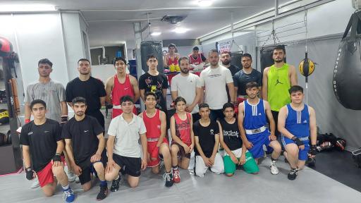 باشگاه بوکس مهدی هاشمی