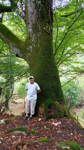 عکس تنگه خیرود