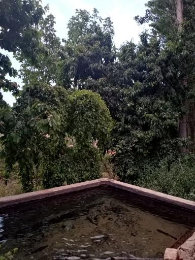 عکس دهکده خوشبختی